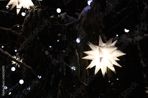 beautiful glowing stars on snowy tree. Winter magic