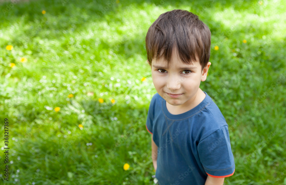 little boy stands among the green grass little boy stands among the green grass
