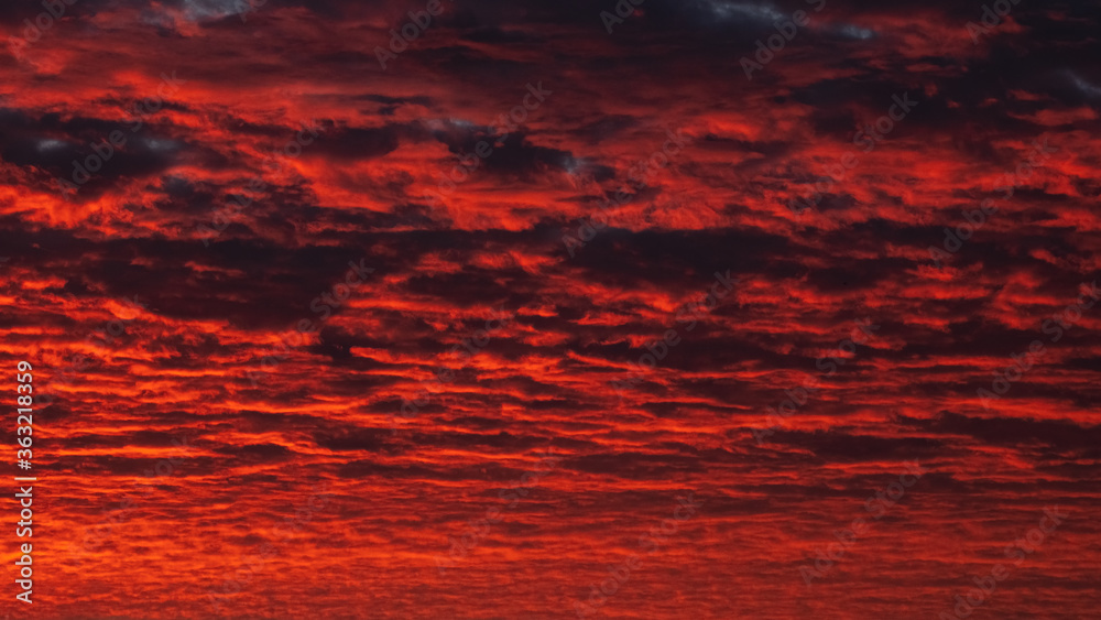 Panoramic view of red evening sky. Colorful cloudy sky at sunset. Sky texture, abstract nature background