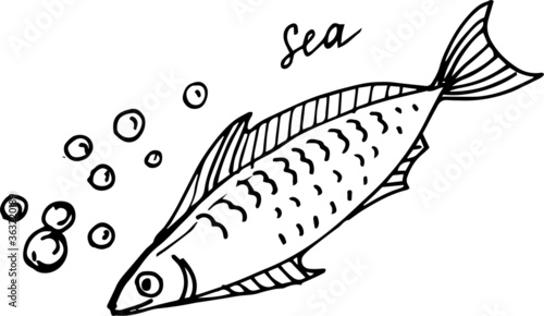 
Graphic hand-drawn illustration. Fish, fauna, seabed. Doodle, sketch, retro, vintage. Menu, mackerel, horse mackerel, herring. Print, textile.