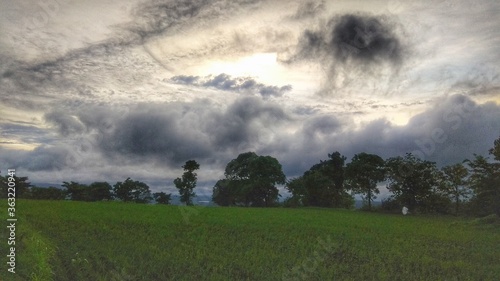 people walking in the field