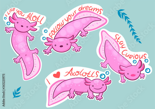 Axolotl stickers with inscriptions stay curious, i like you alotl, follow your dream, i love axolotls.Vector graphics.