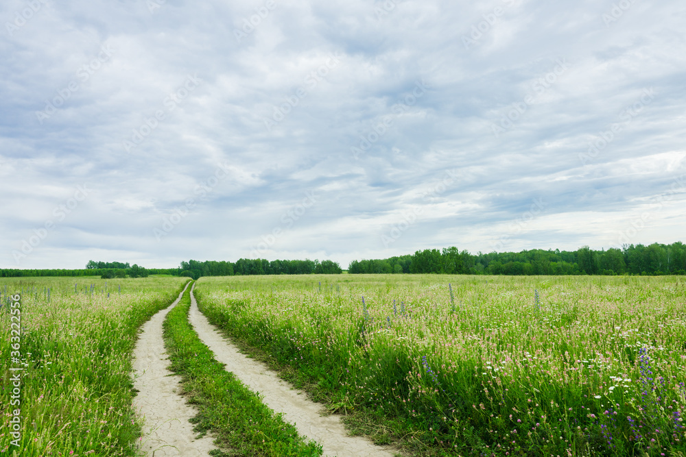 Road through green summer field. Summer landscape. Road through green summer field. Summer landscape.