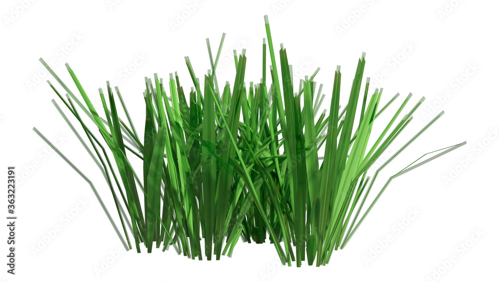3D Rendering Patch of Grass on White 3D Rendering Patch of Grass on White