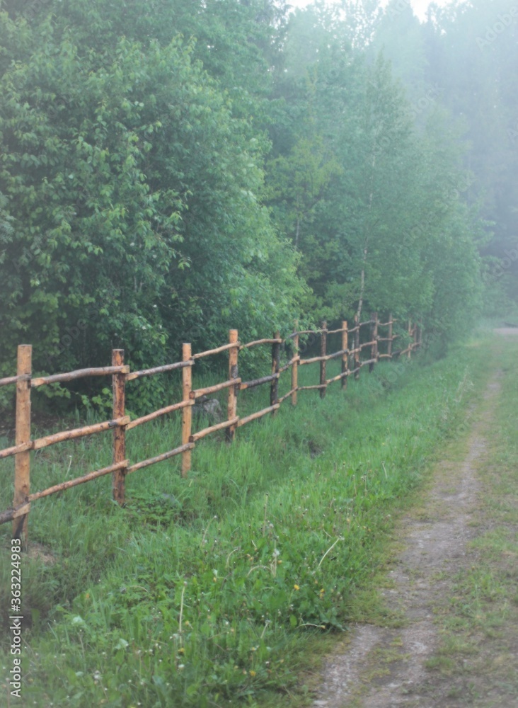 countryside road with fog in the evning.Village landscape with summer forest, wooden fence and mist. countryside road with fog in the evning.Village landscape with summer forest, wooden fence and mist.