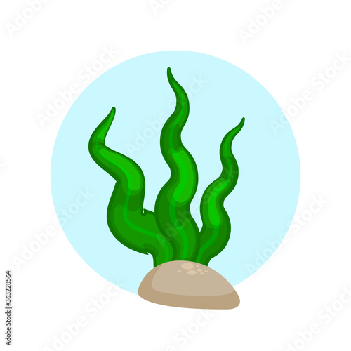 Seaweed Vector Cartoon, Illustration of aquatic plant