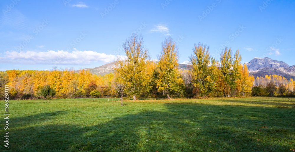 Meadow surrounded by autumnal grove and mountains in the background. Meadow surrounded by autumnal grove and mountains in the background.