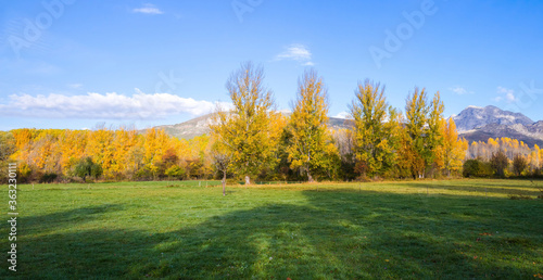 Meadow surrounded by autumnal grove and mountains in the background.