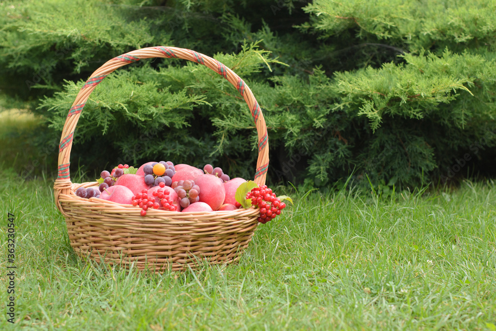 Apples with grapes in a  basket