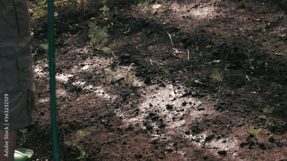 Watering dry soil after planting with a hose. Watering dry soil after planting with a hose.