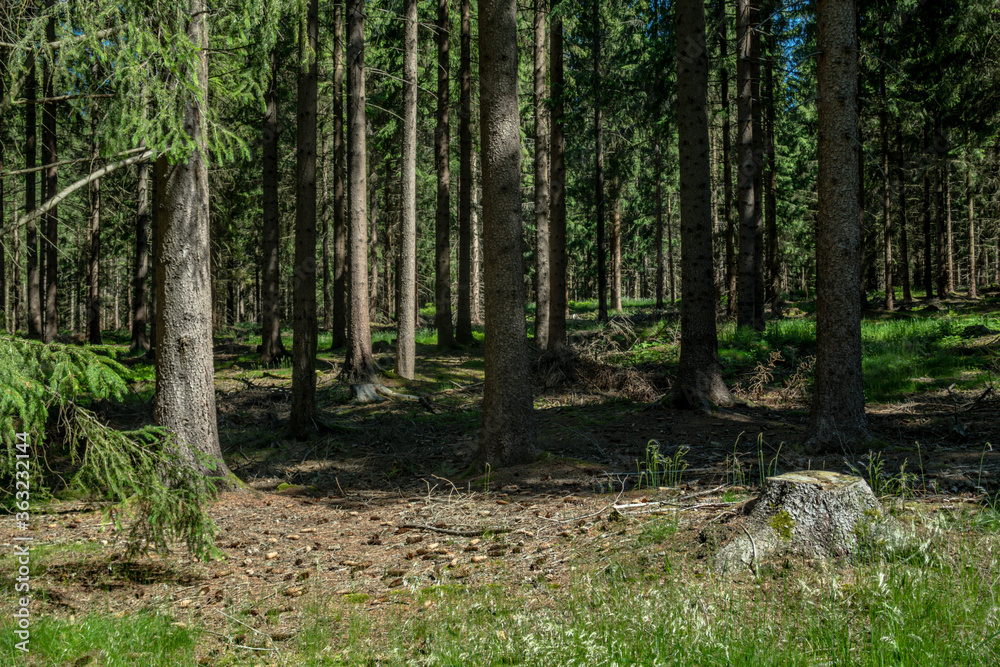 Obraz premium Landschaft Natur 