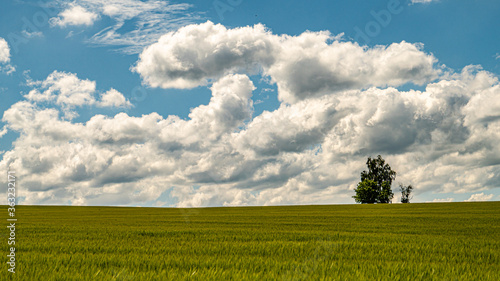 Landschaft Natur 