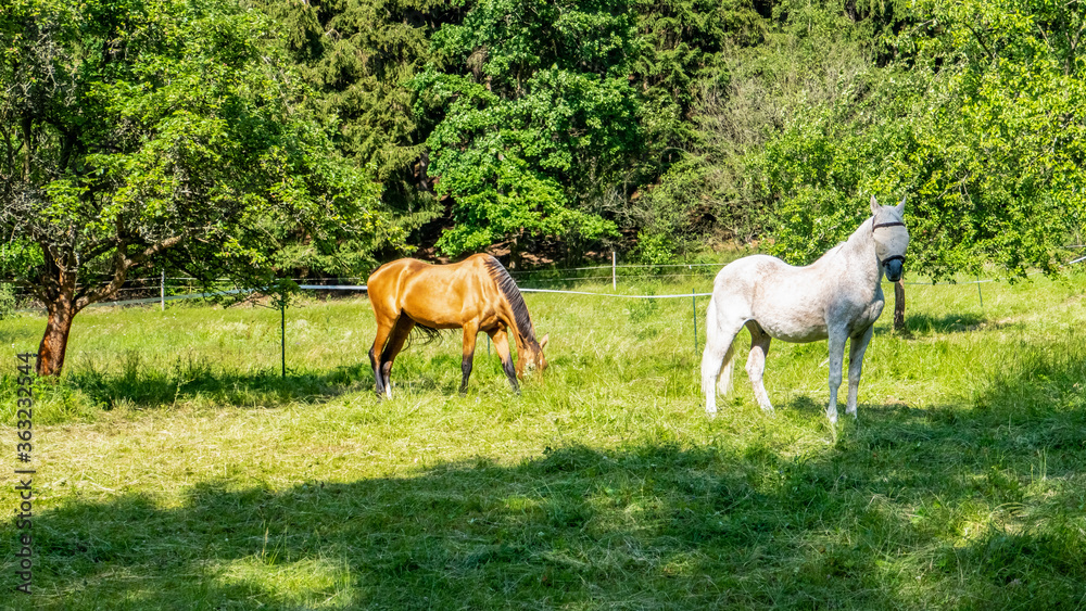 Landschaft Natur 