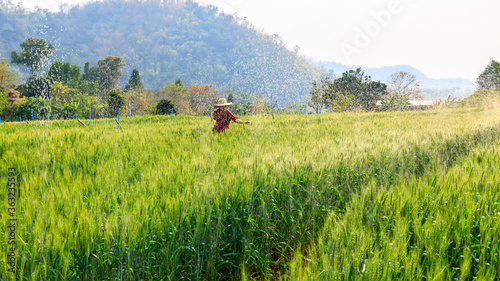 agricultural landscape view and young smart asian woman farmer