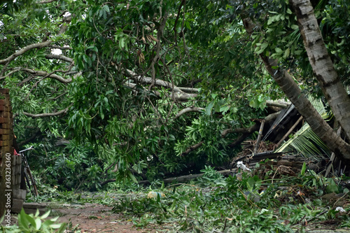 cyclone amphan disaster rampage