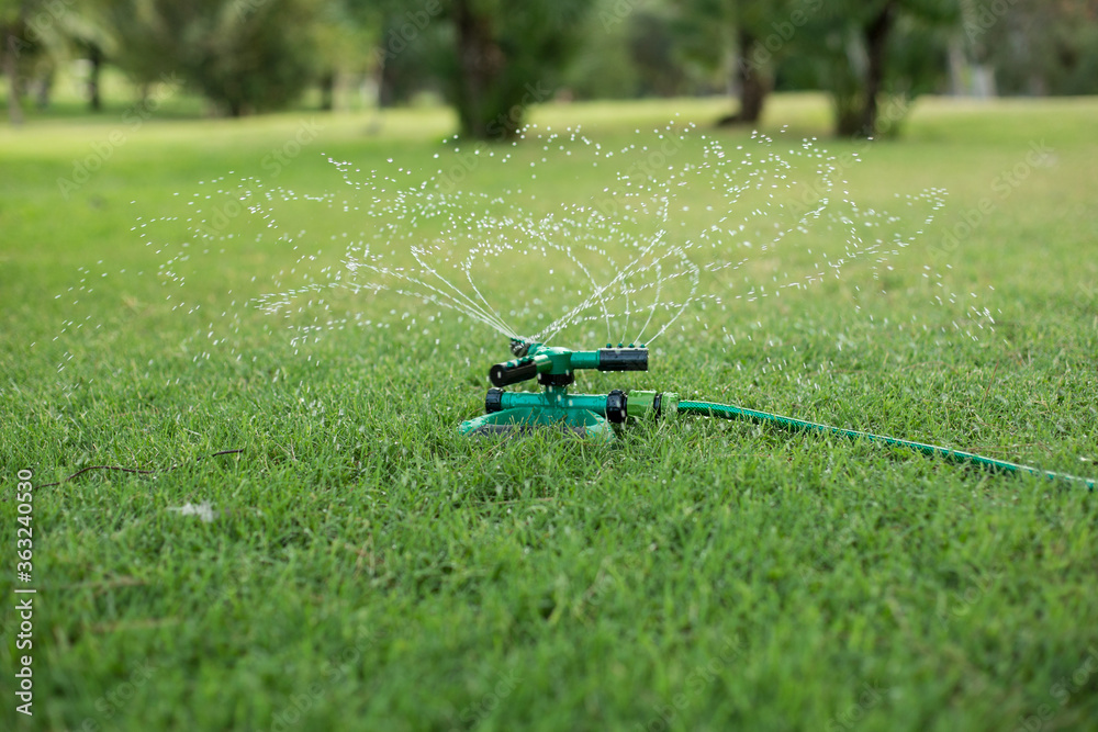 Garden sprinkler watering grass. Lifestyle