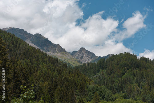 montagne paesaggio di montagna bosco foresta © franzdell
