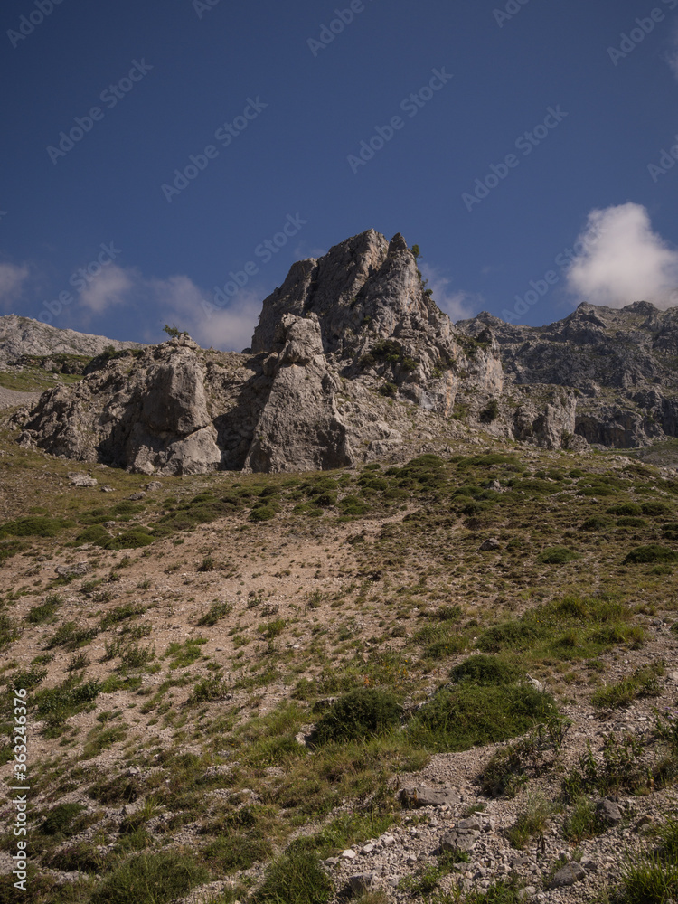 Fototapeta premium Rocky Mountains