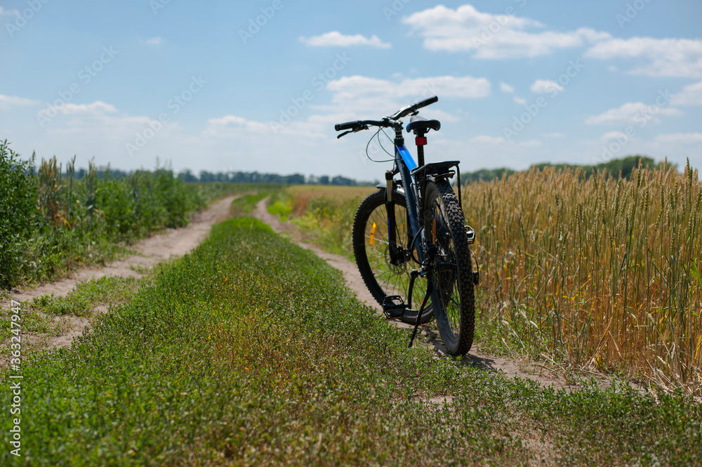 bicycle stands on the road in the field