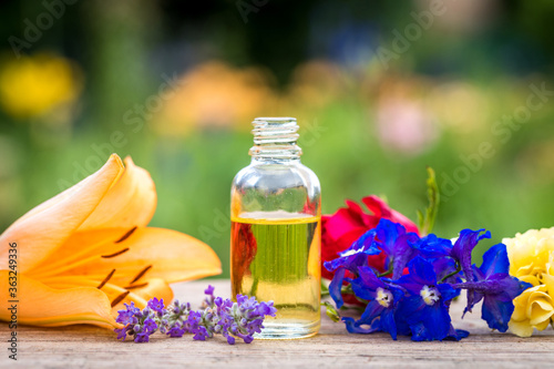 Herbal aroma oil bottle with various drugplant flowers  wooden surface  nature background in blur. Soft focus. Pure natural beauty care.