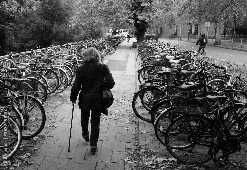 Obraz premium bicycle in the city