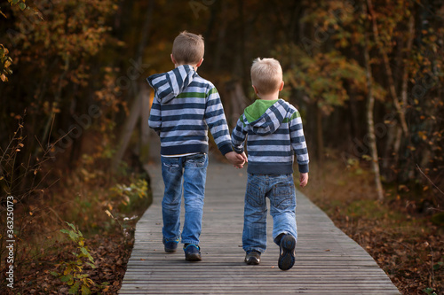 Two brothers walking in the forest on the wooden pathway, siblings hold hands, back view