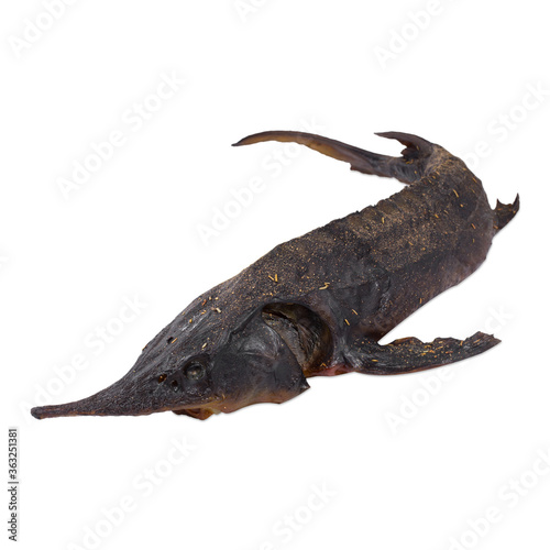Smoked sterlet or sturgeon fish isolated on white background. different views