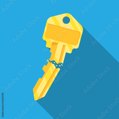 Broken key icon vector flat design.