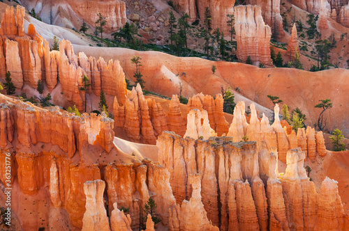 Bryce Canyon hoodoos in the first rays of sun, Utah, USA