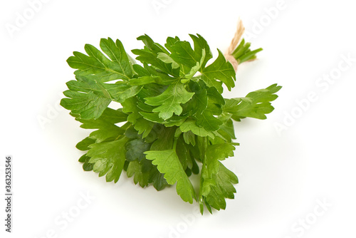Fresh bunch of parsley, isolated on a white background