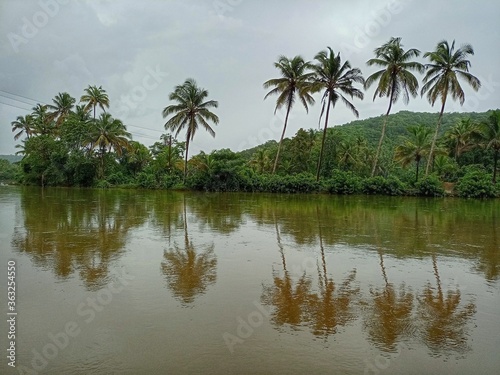 Coconut trees and river © Gauresh