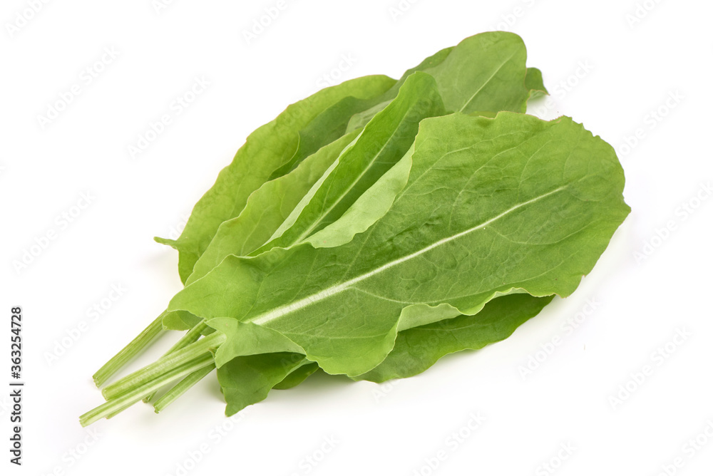 Fresh leaves of spinach, isolated on a white background Fresh leaves of spinach, isolated on a white background