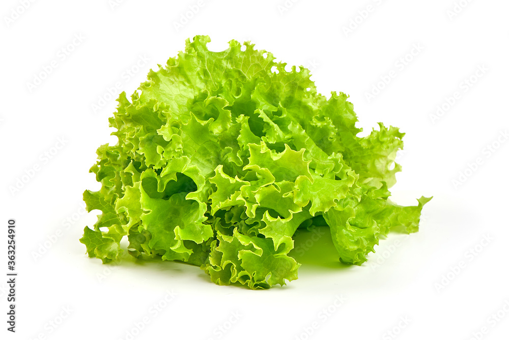 Lettuce Salad leaf, isolated on white background Lettuce Salad leaf, isolated on white background
