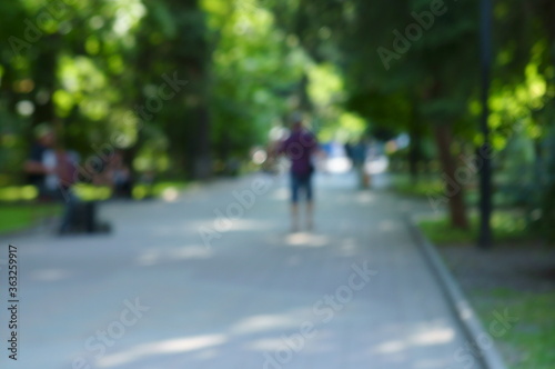 Wallpaper Mural walk in the park Torontodigital.ca