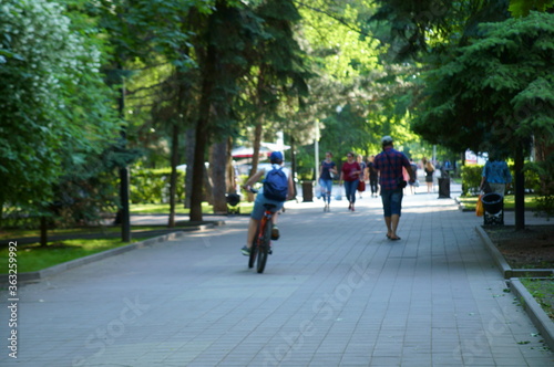 Wallpaper Mural walking in the park Torontodigital.ca