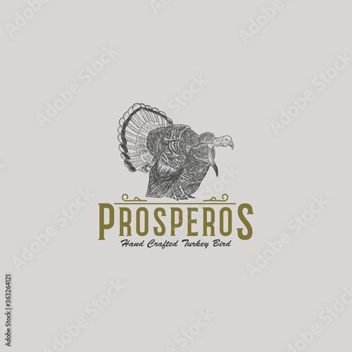 Turkey Bird Vintage Hand Drawn Logo Design Illustration