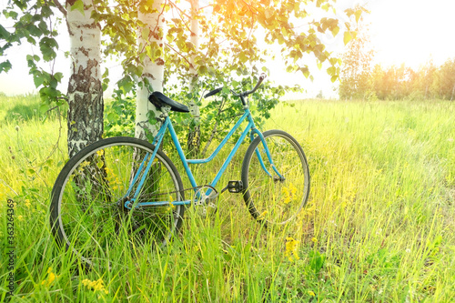 old dirty vintage bicycle on grass meadow. travel and sport active concept. summer season landscape