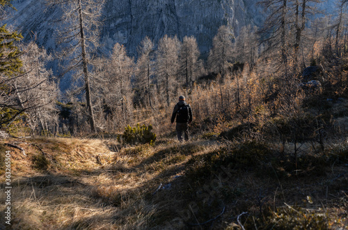 Hiker standing backwards in Slovenia National Park