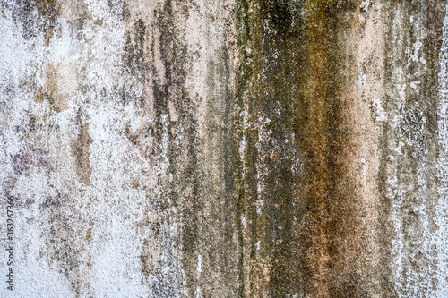 Old dirty concrete wall covered with moss mold