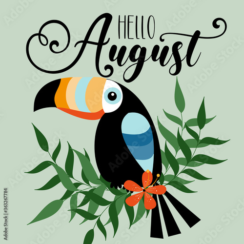 Hello August- Summer greeting text with toucan bird, on green background. 