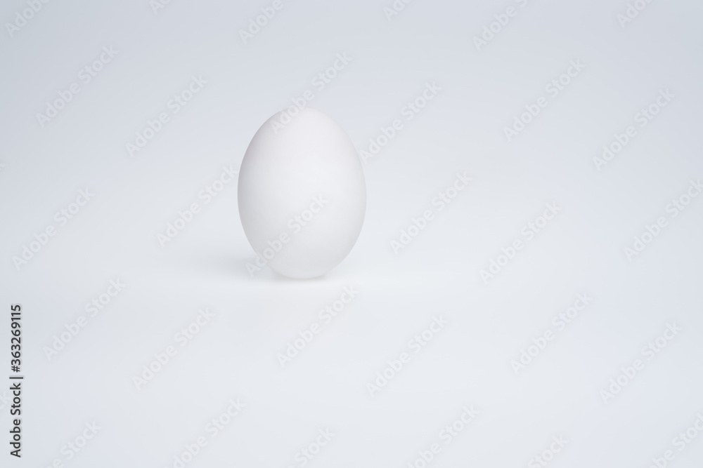 White egg on a white background White egg on a white background