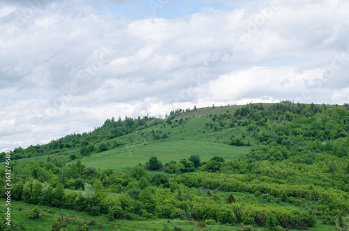 Beautiful mountain landscape many trees