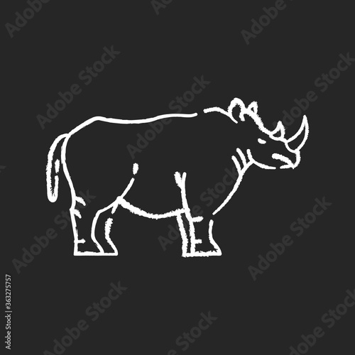 Rhinoceros chalk white icon on black background. Exotic horned animal  african fauna. Tropical zoo mascot  endangered species. Zoology  safari. Large rhino isolated vector chalkboard illustration