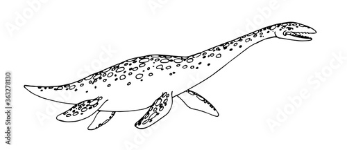 prehistoric reptile of the Jurassic period, spotted plesiosaur, sea raptor, vector illustration with black contour lines isolated on a white background in a hand drawn style