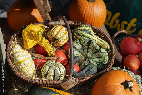 Wicker basket with different varieties of pumpkins.