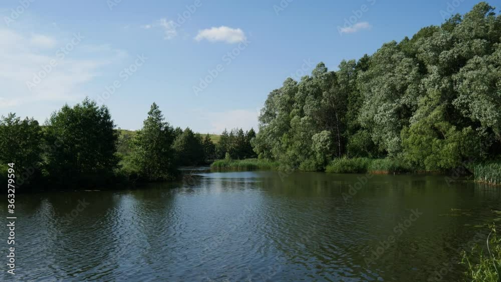 river in the forest with blue sky river in the forest with blue sky