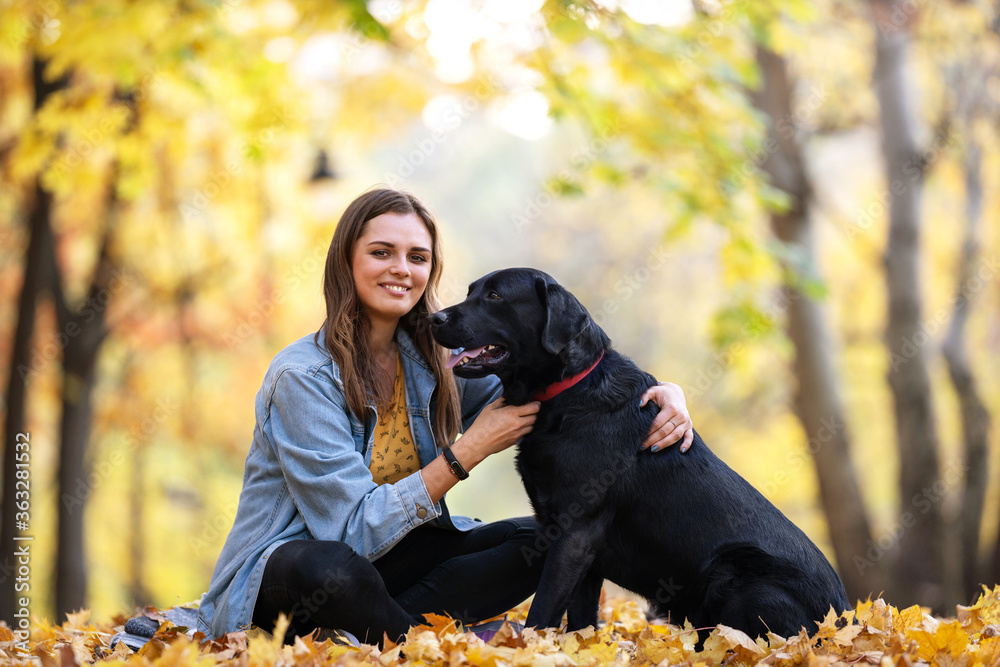 girl with her dog labrador in autumn sunny park