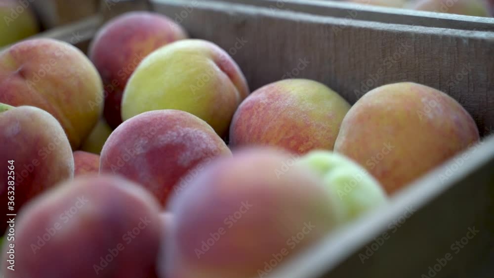 Extreme closeup of freshly picked fuzzy peaches in a crate. Extreme closeup of freshly picked fuzzy peaches in a crate.