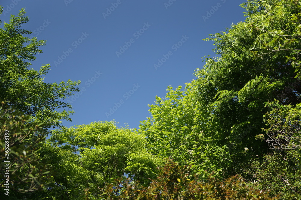 向島百花園