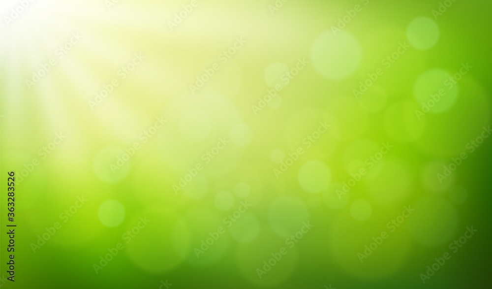 Abstract nature blurred background with bokeh effect. Green gradient backdrop with sunlight. Ecology concept for your graphic design, banner or poster. Vector illustration Abstract nature blurred background with bokeh effect. Green gradient backdrop with sunlight. Ecology concept for your graphic design, banner or poster. Vector illustration
